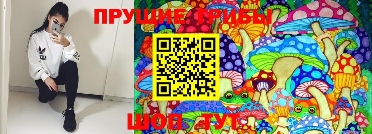 Псилоцибиновые грибы мицелий  Вход с VPN  Михайловка 